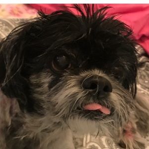 Meet your Posher, Diane